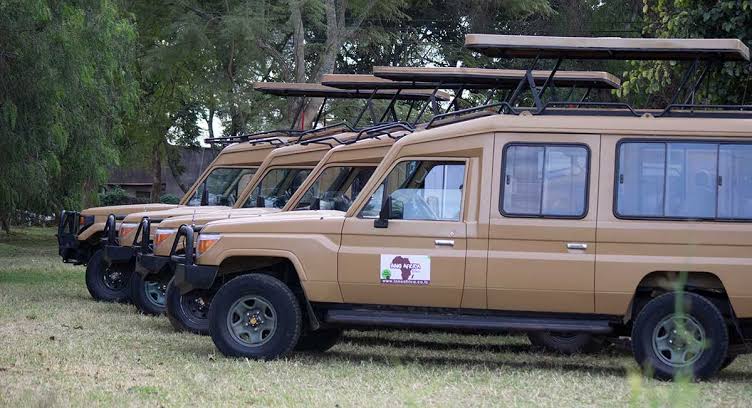 3-Day Tanzania Serengeti & Ngorongoro Safari