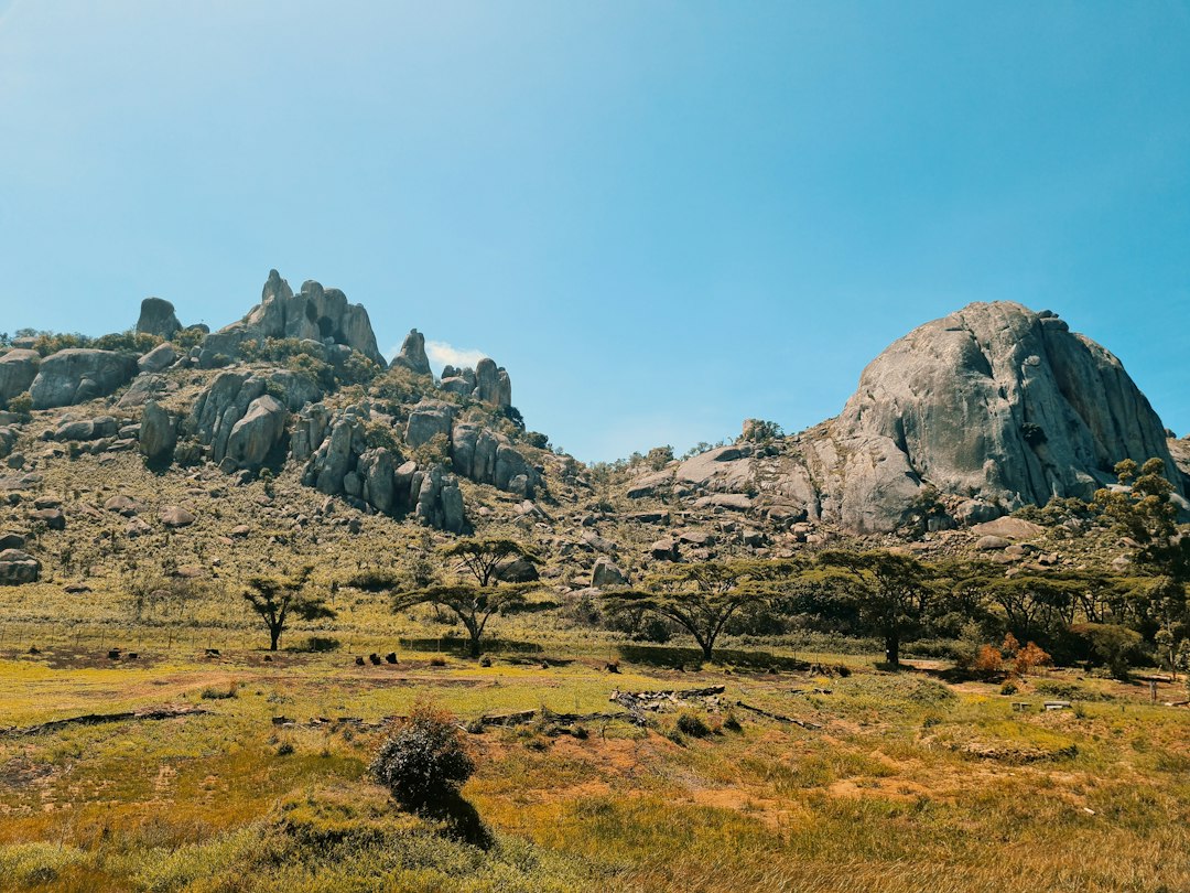 一片草地，背景是一座山