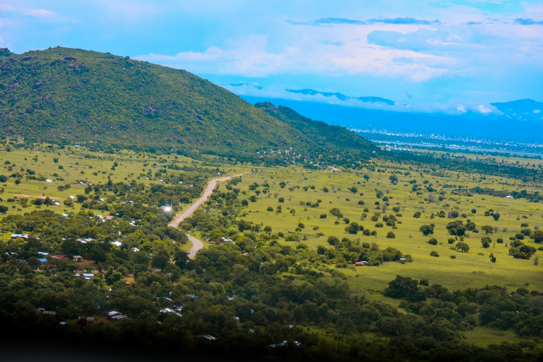Expansive green landscape with rolling hills and scattered trees