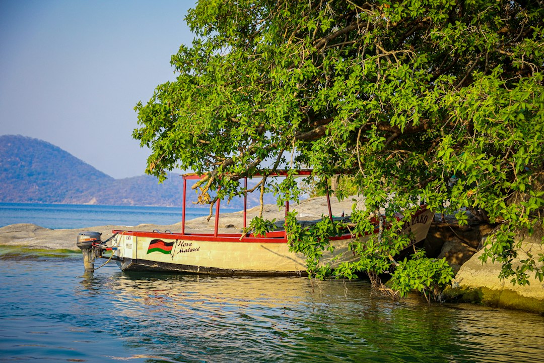 Lake Malawi上一棵枝叶繁茂的树下停泊着一艘小型摩托艇