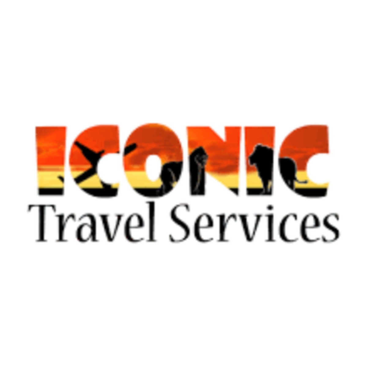 iconic travel services limited