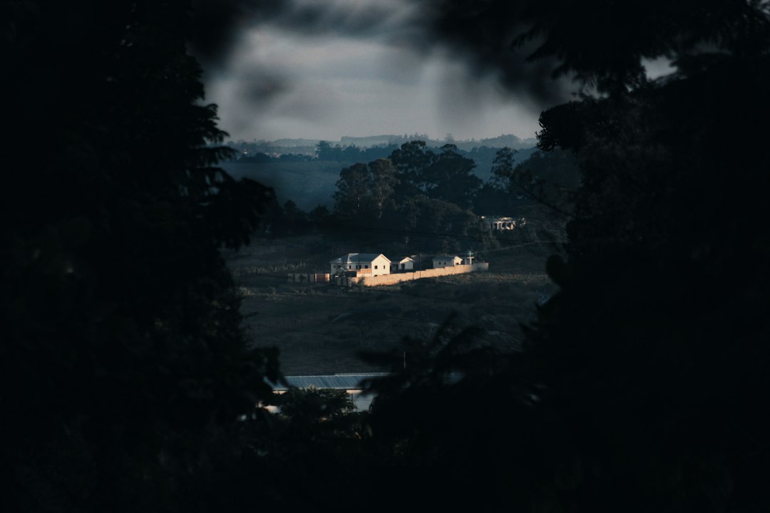 A distant landscape framed by dark foliage