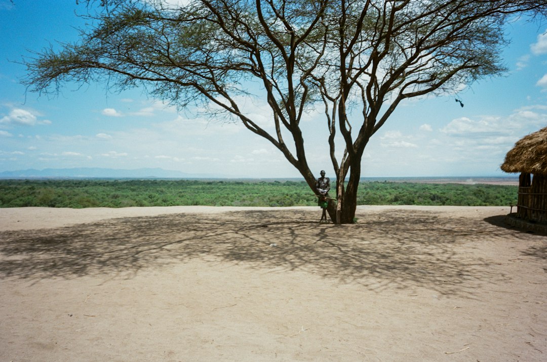 A person standing under a large acacia tree on a dry plain with a distant green forest