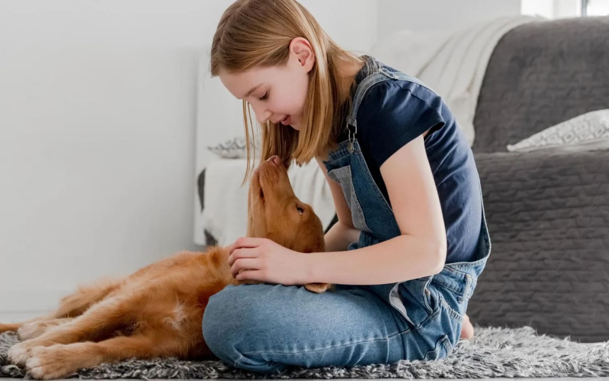Niña sentada en el suelo de una sala luminosa acaricia a un perro mediano tranquilo recostado sobre su regazo
