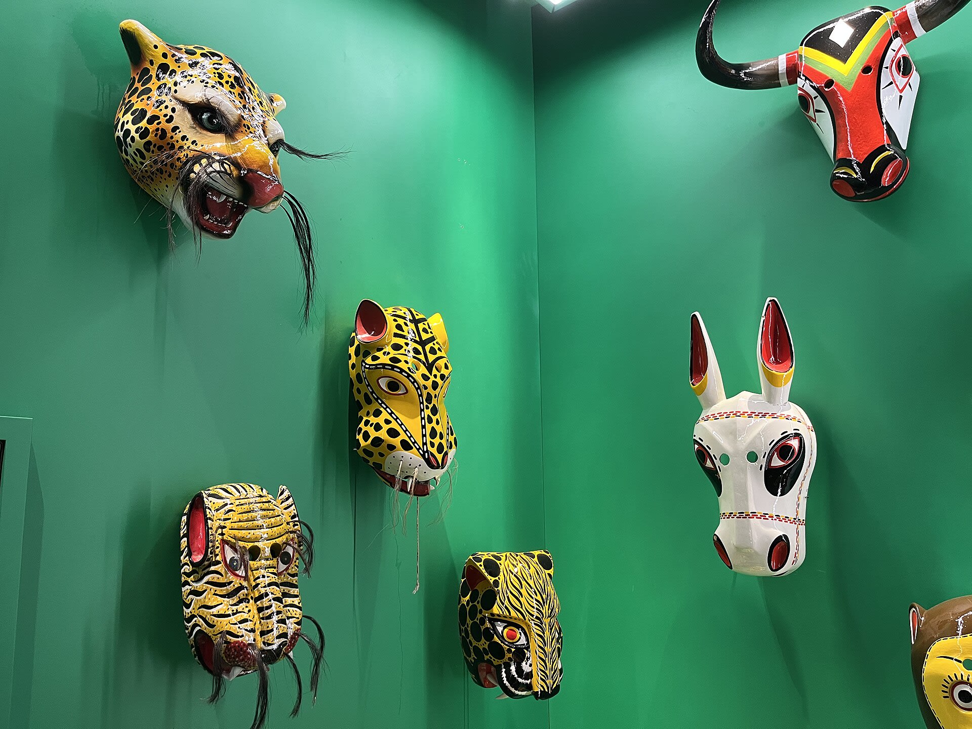 Máscaras de animales del Carnaval de Barranquilla, de tigre, toro y burro, colgadas en una pared verde