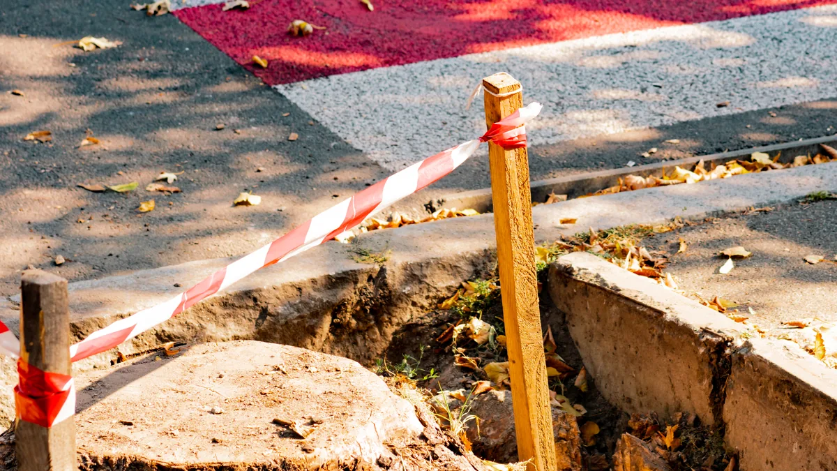 Restricciones y Desafíos