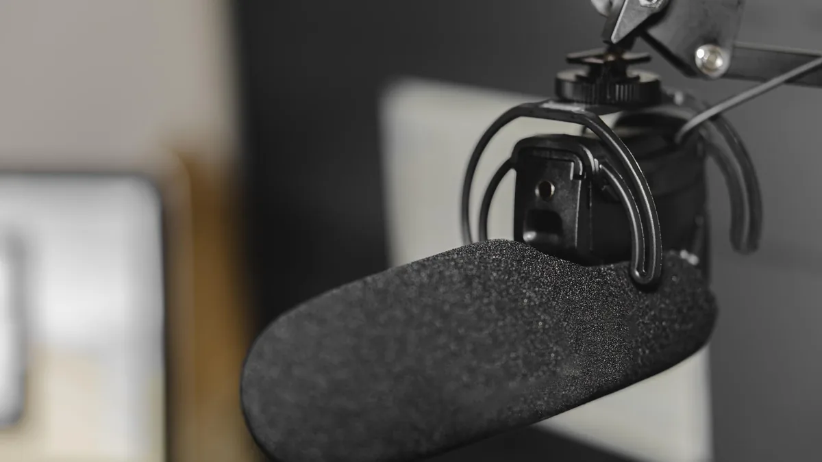 2. Podcasts (Audio, Not Just YouTube)
