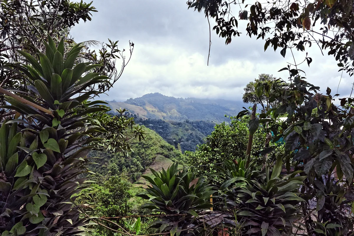 Sierra de La Macarena Colombia jungle landscape tropical biodiversity