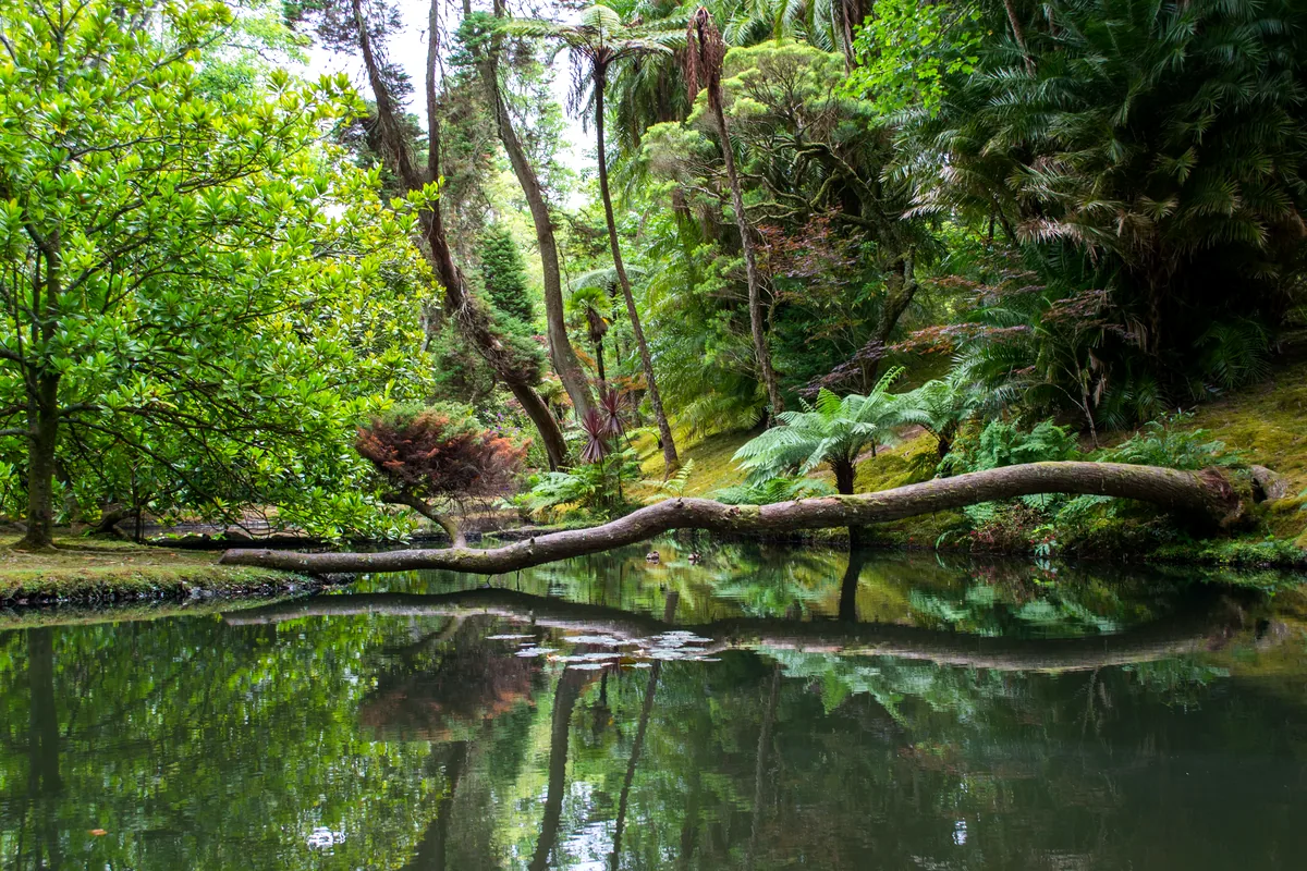 Rio La Miel Norcasia Caldas Colombia clear water jungle forest