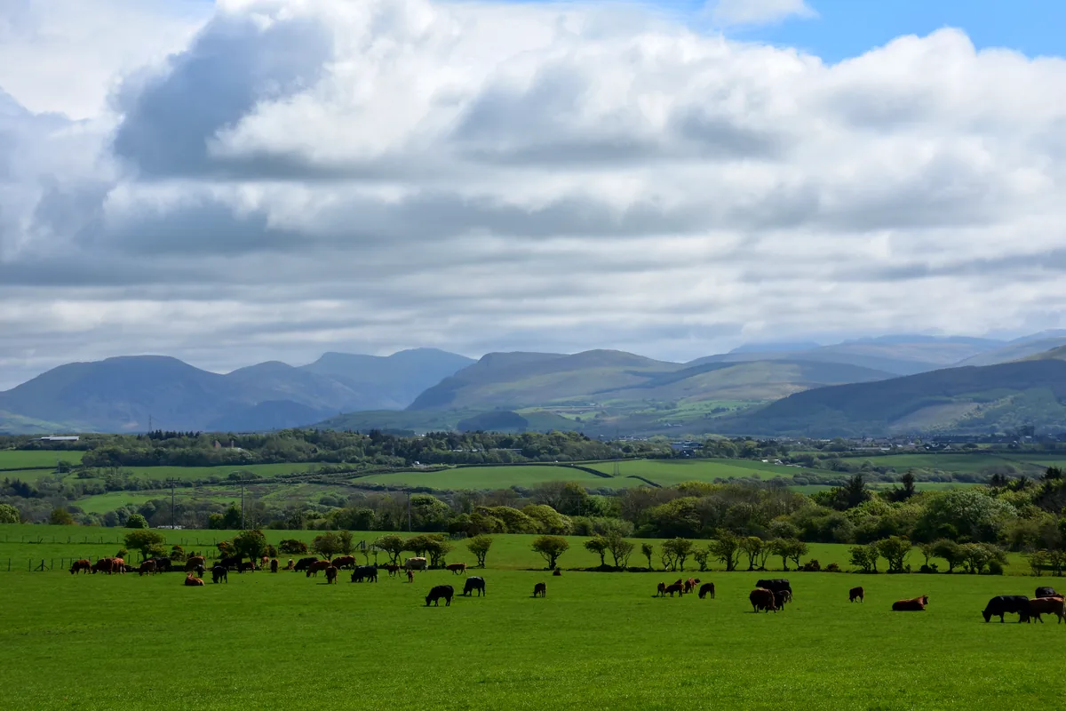 Villavicencio Meta Colombia llanero landscape cattle ranch