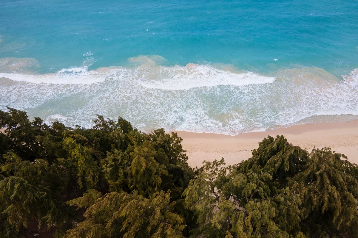 Buenaventura Pacific coast aerial view Colombia jungle beach