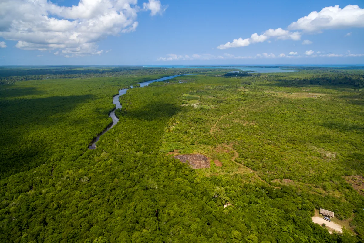 San Cipriano river reserve Colombia jungle aerial