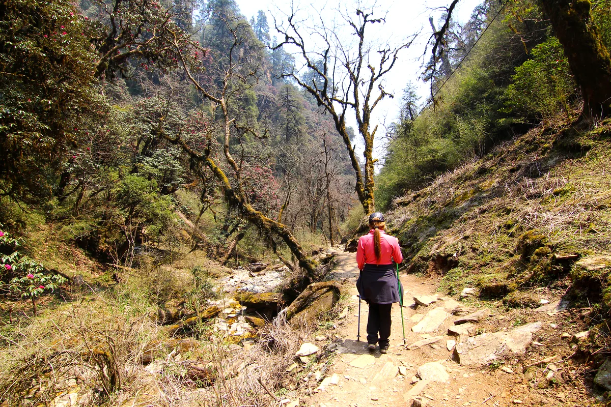 Camino Real Barichara Guane hiking trail canyon Santander Colombia