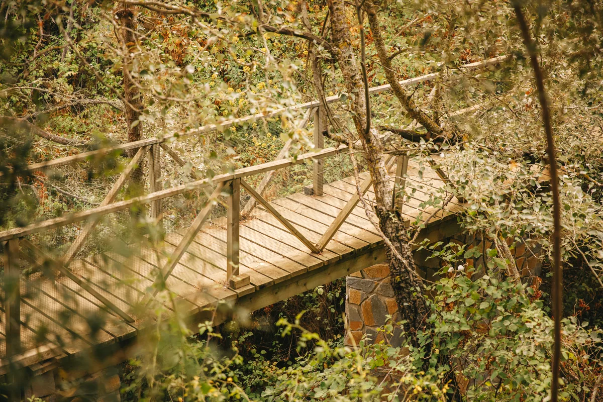 sustainable eco lodge wooden architecture tropical forest Colombia no people