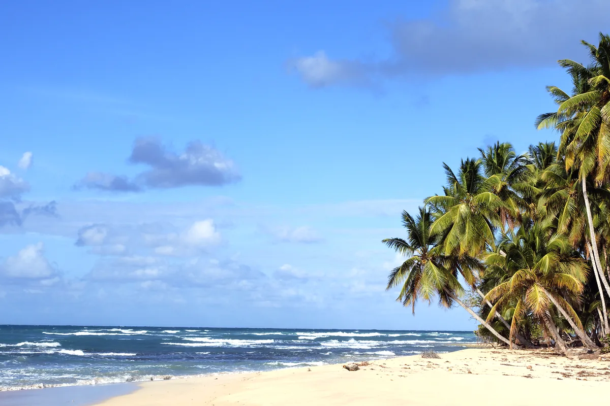 San Andres Island Colombia beach palm trees panoramic view