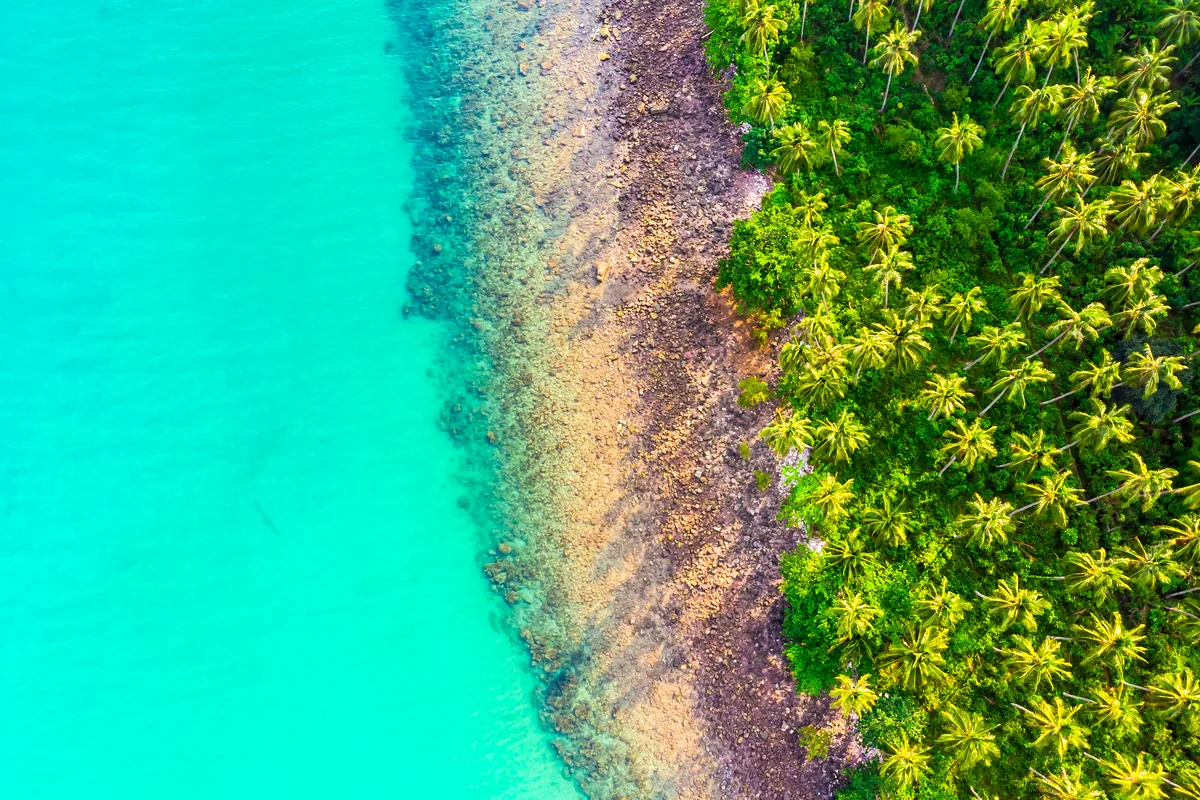 Parque Tayrona Colombia tropical beach turquoise water palm trees aerial view