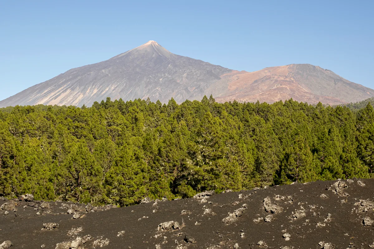 Purace volcano Colombia Andes green landscape volcanic