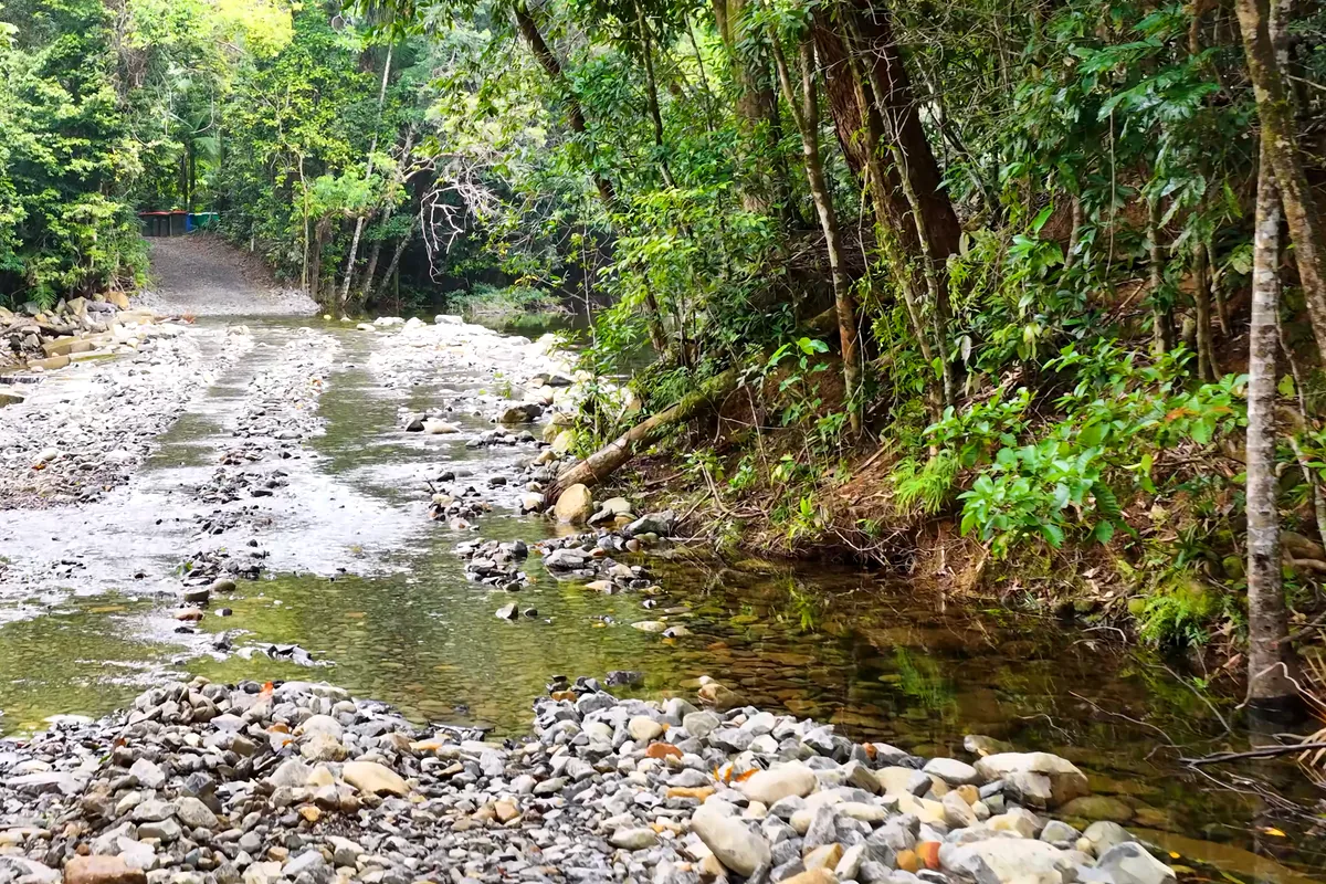 Rio La Miel Norcasia Caldas Colombia jungle river landscape nature