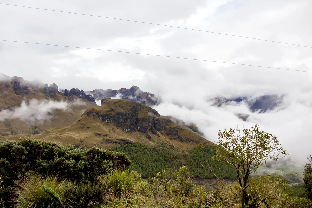 colombia paramos andean highlands misty landscape biodiversity ecosystem