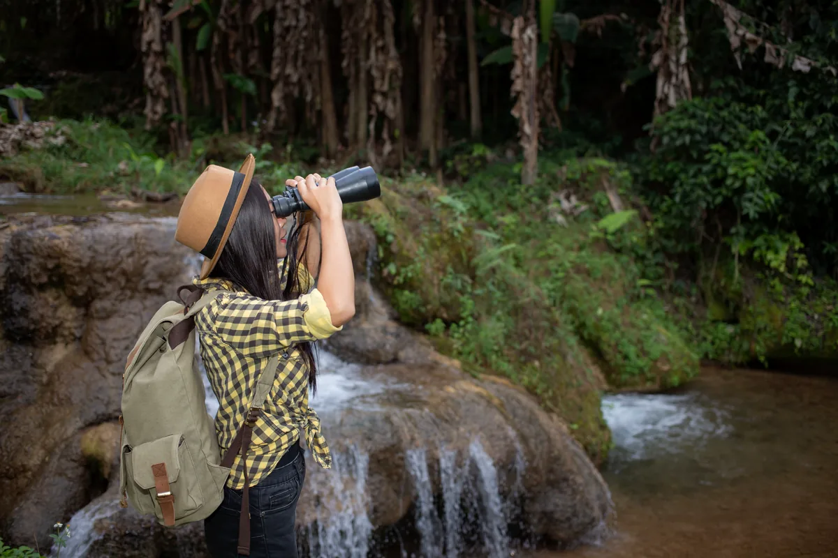 birdwatcher binoculars rainforest Colombia jungle birds no face visible nature wildlife