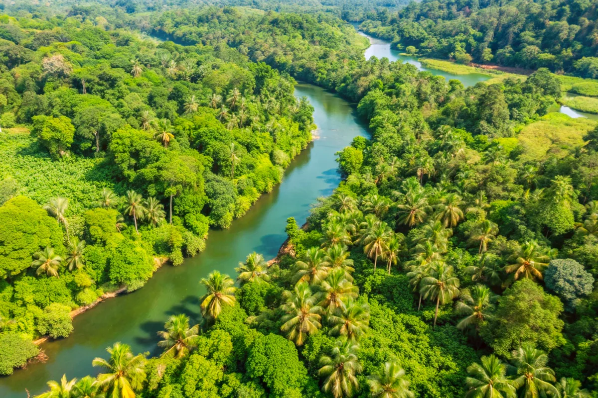 Colombia ecotourism Amazon river jungle aerial view nature landscape