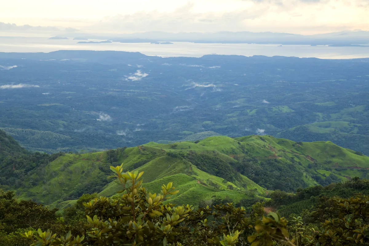 Armenia Quindio Colombia coffee region aerial view mountains green landscape
