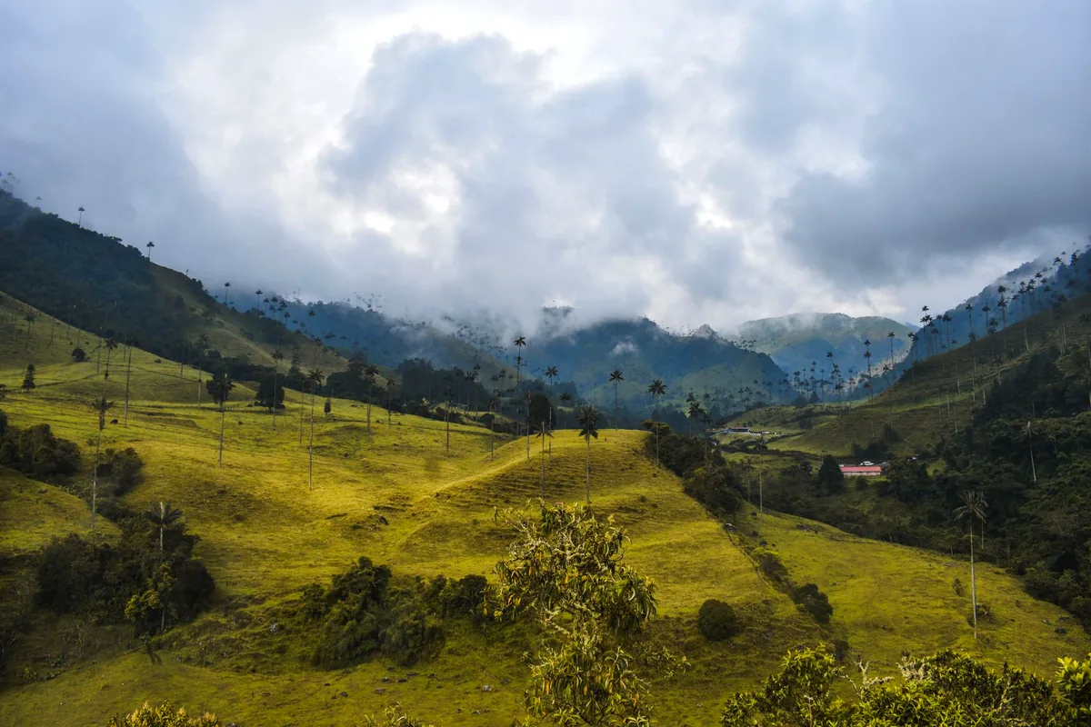 traditional Colombian finca wooden architecture coffee plantation Andes misty morning