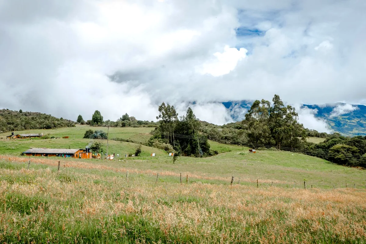 Colombia coffee farm finca cafetera green hills landscape