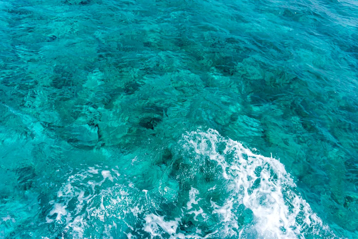 San Andres Colombia coral reef snorkeling clear water tropical fish