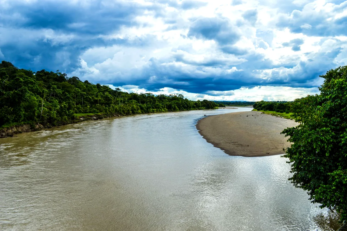 Chocó Colombia rainforest river mangrove aerial landscape