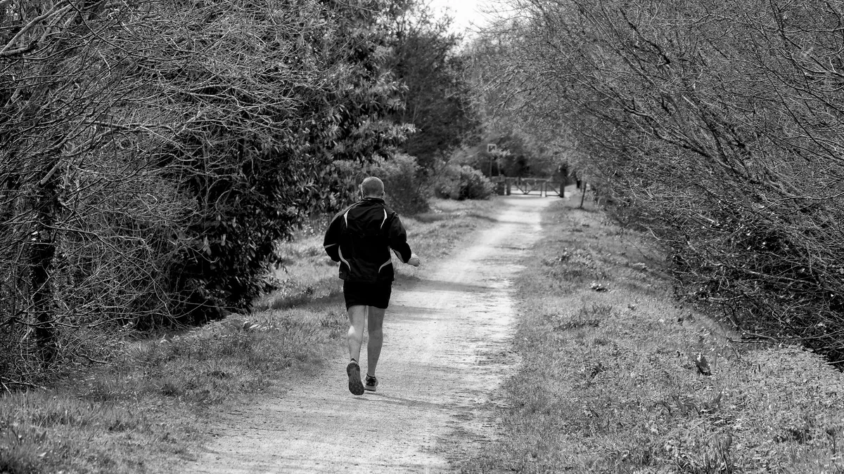 Cardio zona 2 para principiantes: qué es, cómo hacerlo y por qué la ciencia lo respalda