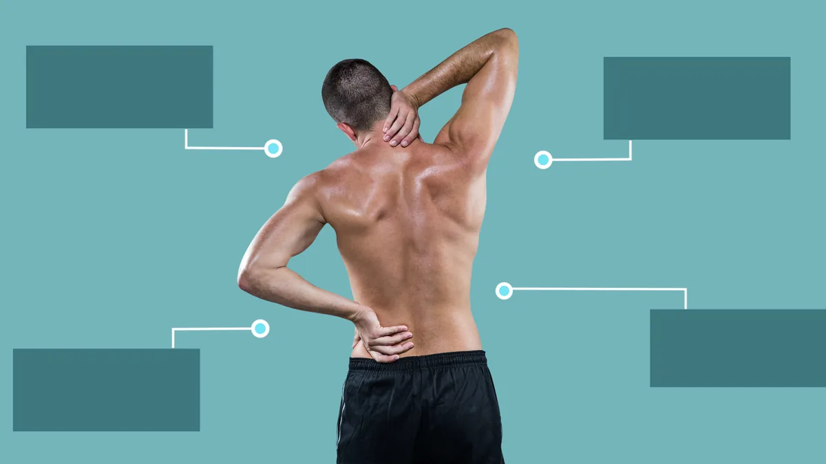 La anatomía simplificada: qué músculos entran en juego