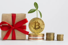 Caja de regalo con moño rojo junto a una moneda de Bitcoin con un brote y pilas de monedas