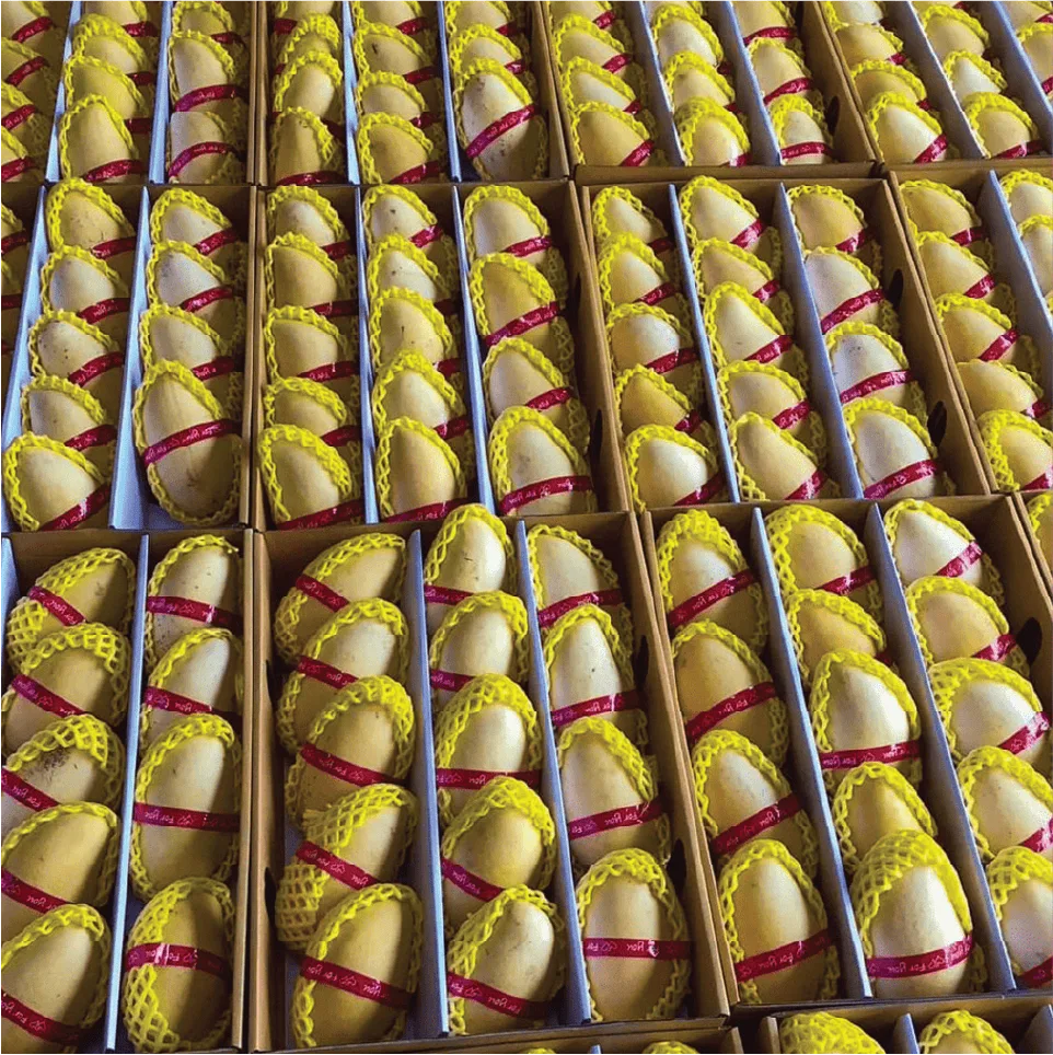 Mangoes