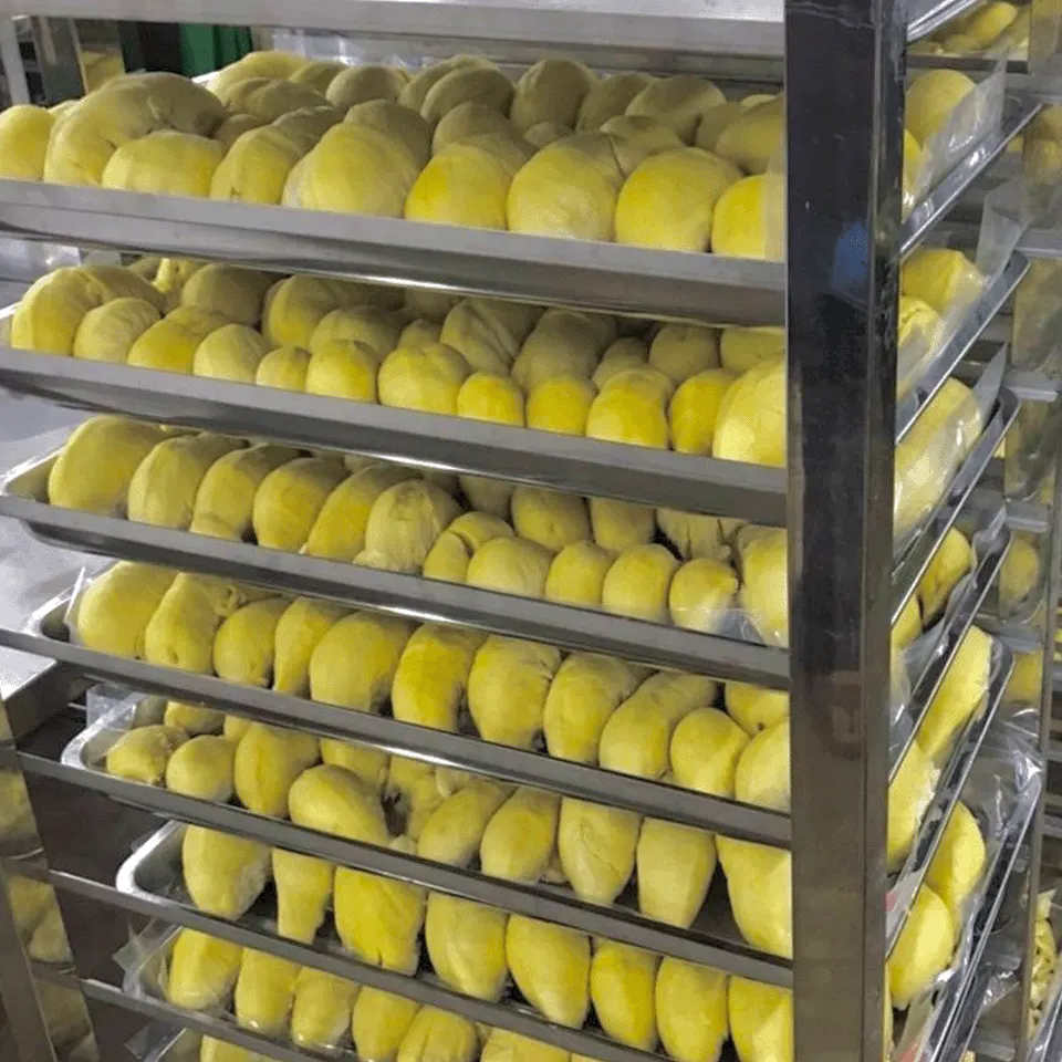 Frozen Durian Meat
