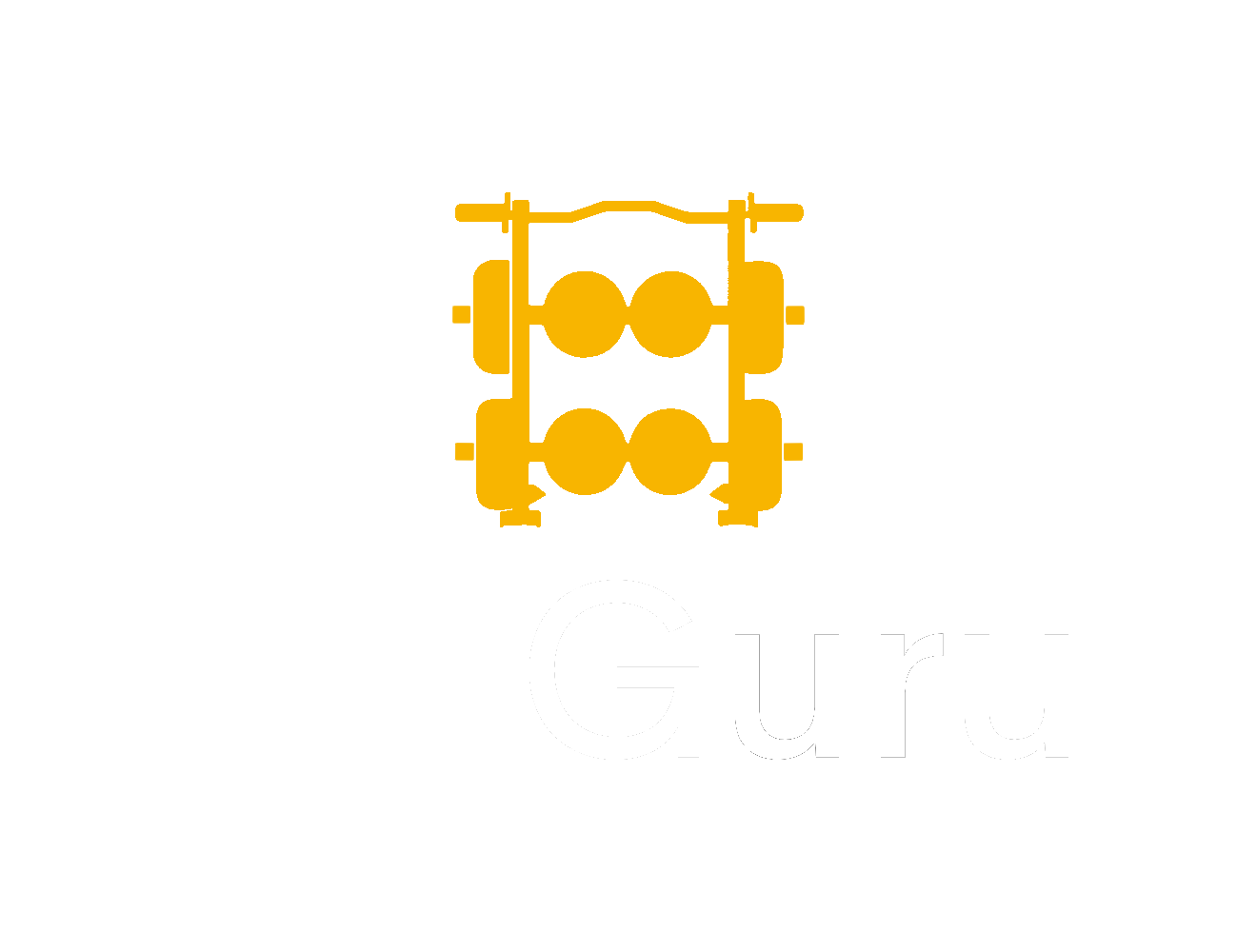 Fit Guru