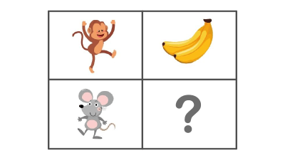question img alt text