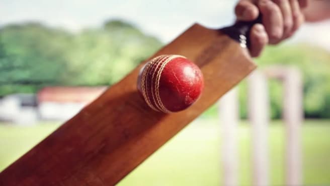 A cricket bat and a red cricket ball.
