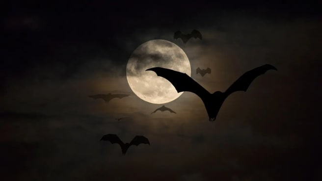 Bats and vampires on the night with a white moon in the sky.