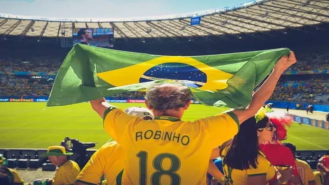 Brazilian fan in a World Cup game.