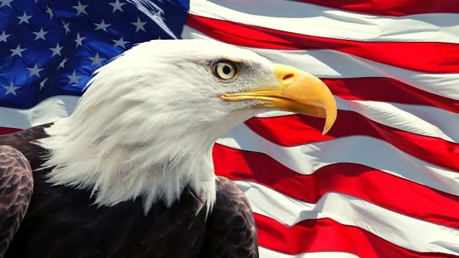 The bald eagle is one of the American symbols in its history.
