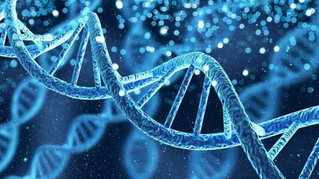 The DNA form in 3d.