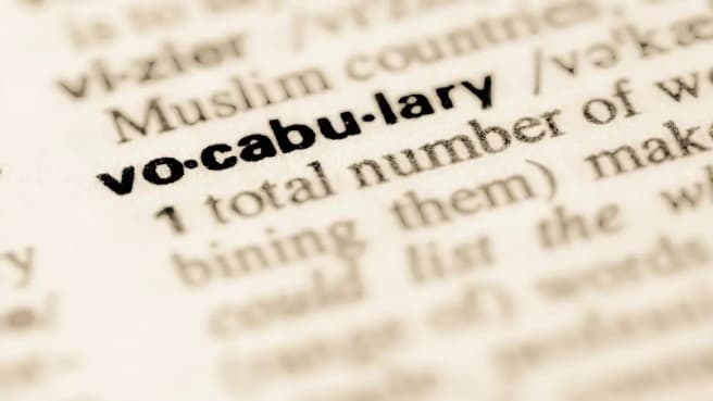 The word "Vocabulary" is written in a dictionary.