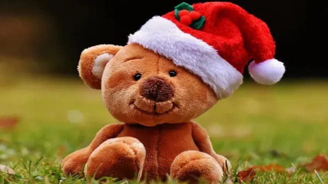 Funny Christmas teddy bear with a Christmas hat.