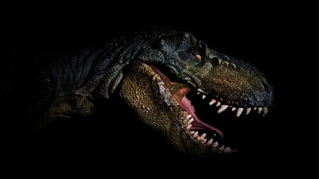 An incredible T-rex head close-up in the dark.