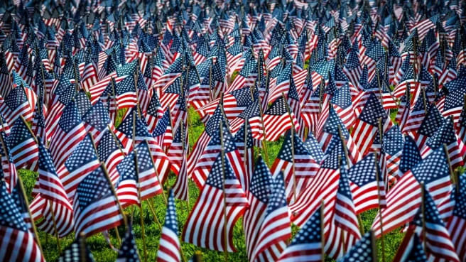 Many US flags on a grass field.