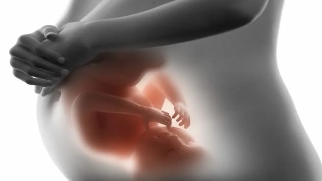 A 3D illustration of an embryo inside the Uterus.
