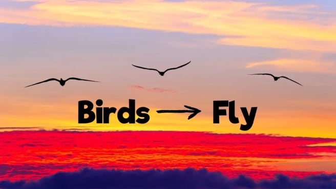 Verbal reasoning illustration of flying birds.