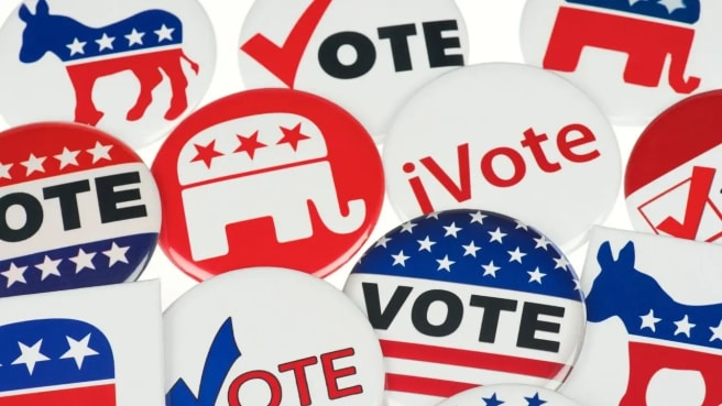 American (US) Politics - the republicans and democrats' animals on election badges.