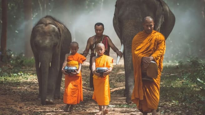Buddhist monks and elephants.
